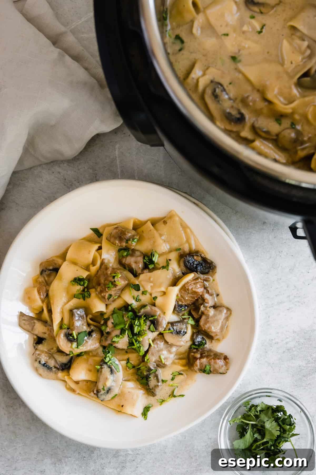 A Plate of Beef Stroganoff Beside a Pressure Cooker Filled with the Rest