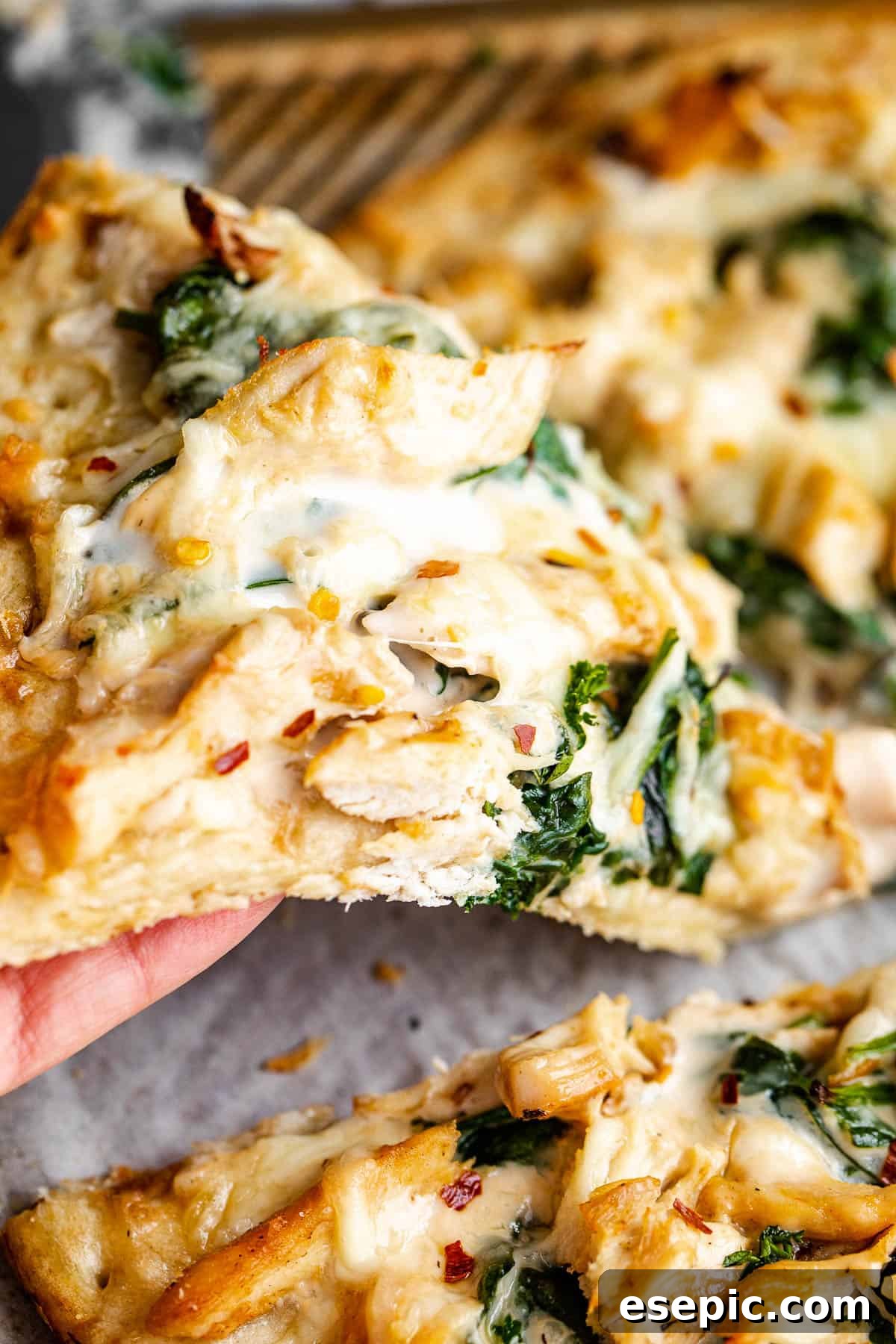 A hand reaching for a warm slice of Chicken Alfredo Pizza, golden brown crust visible.