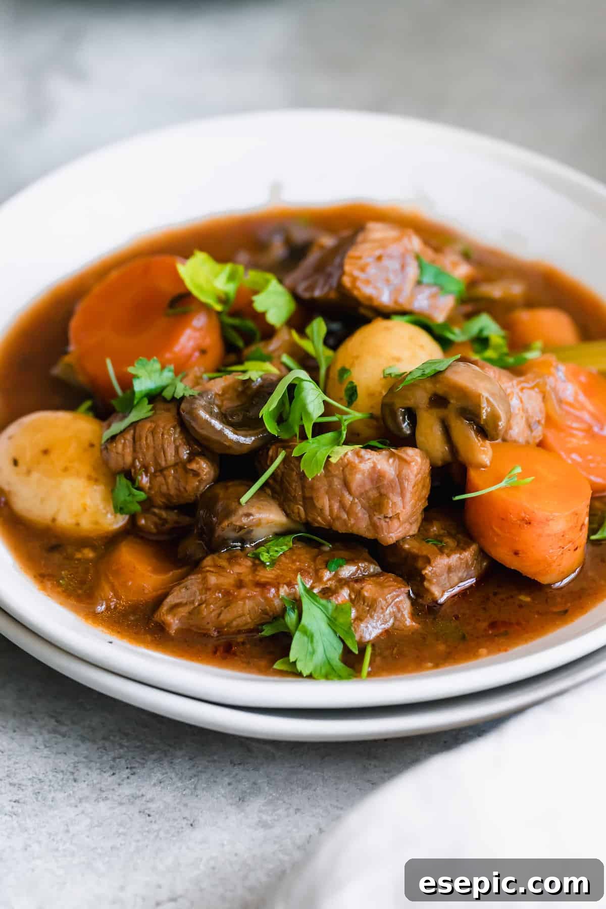 Slow-Simmered Guinness Beef Stew 13 A pristine white bowl filled with a generous serving of Guinness Beef Stew, showcasing chunks of tender beef, vibrant carrots, and soft potatoes, garnished with fresh herbs.