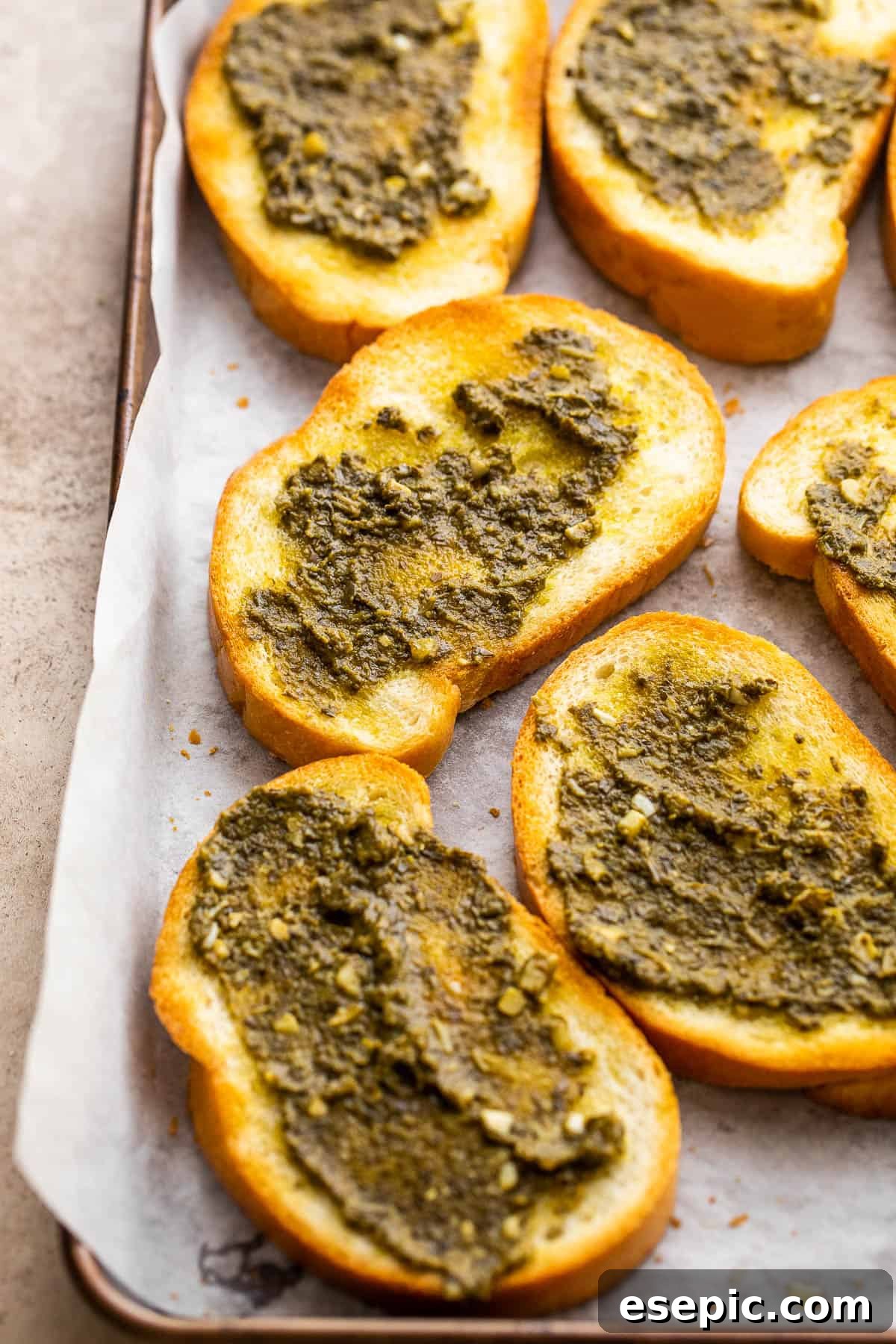toasted bread slices topped with basil pesto