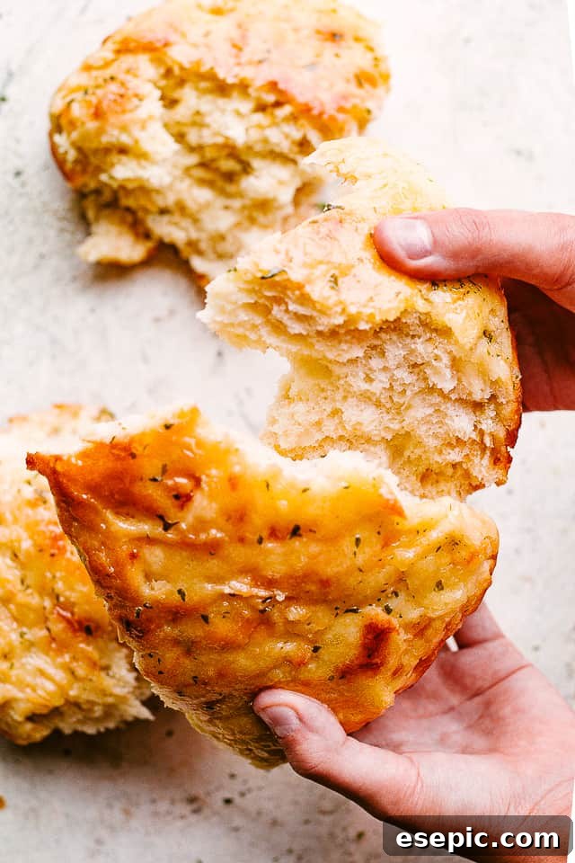 Making warm and crusty homemade bread is easier than you’ve imagined with this no knead cheese bread recipe. Cheesy, crusty, and oh-so-good! A hand breaking off a warm, crusty piece of no-knead cheese bread, showing the soft, cheesy interior.