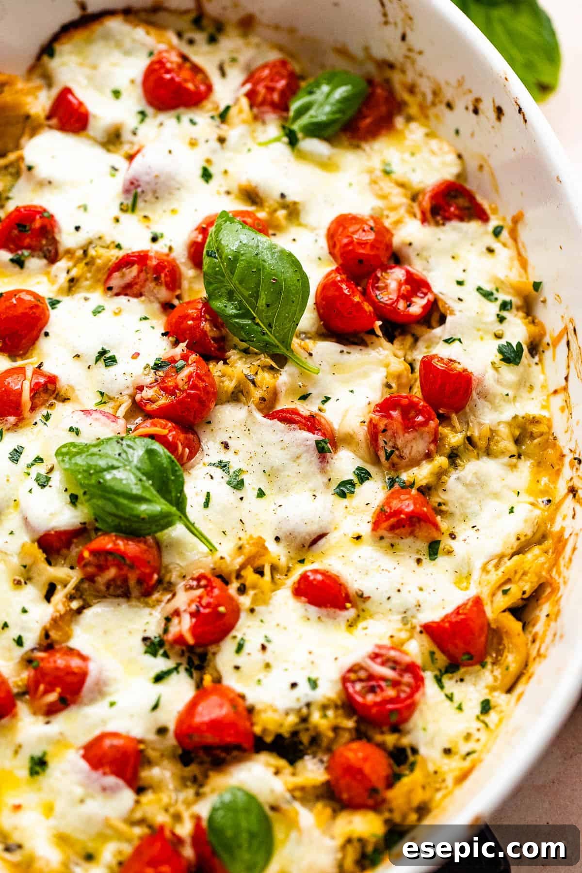 A Caprese Chicken Casserole in a white baking dish, beautifully garnished with fresh basil leaves and vibrant cherry tomatoes, presented on a rustic wooden surface.