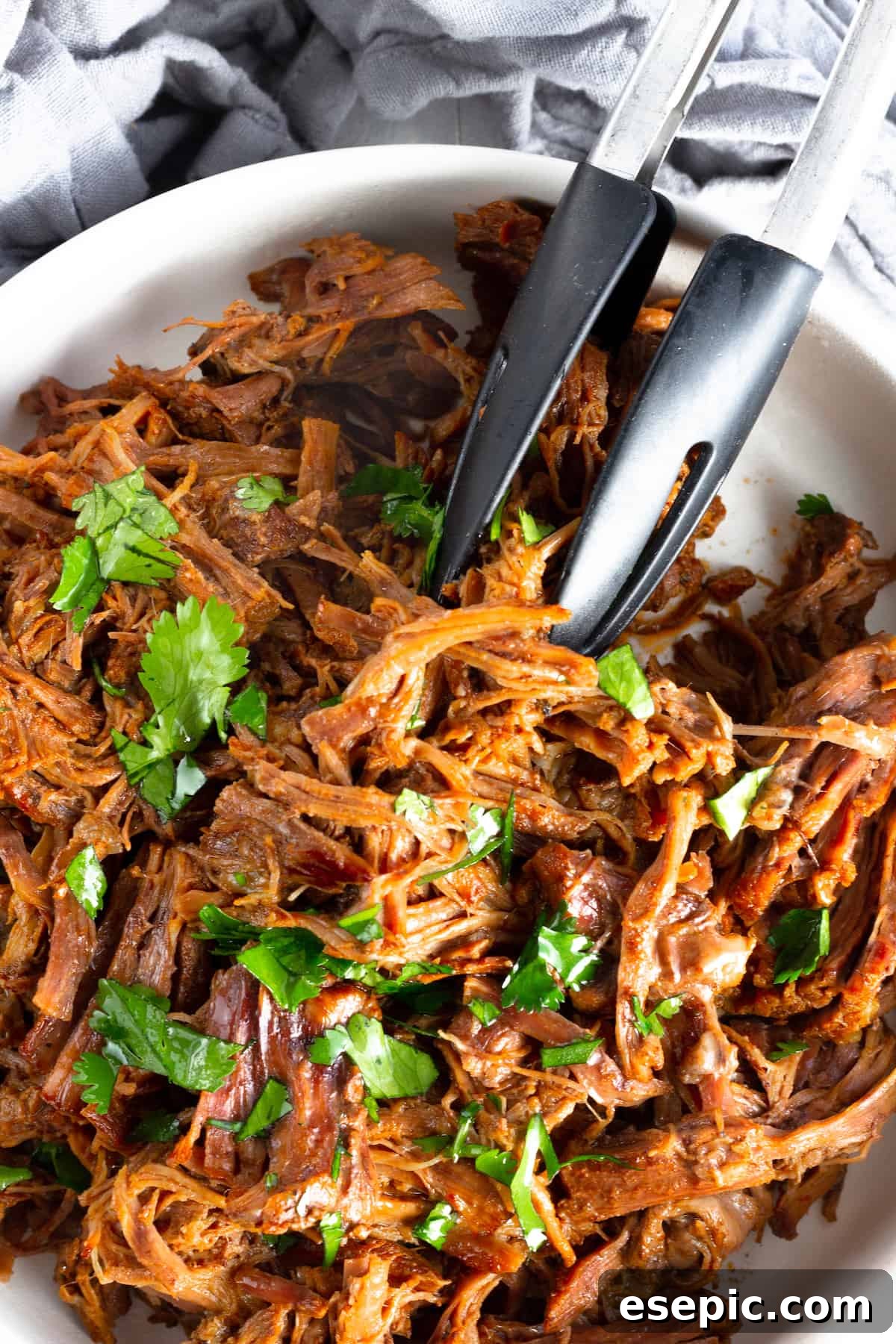 A White Bowl Containing Juicy Beef Barbacoa with Some Fresh Parsley on Top