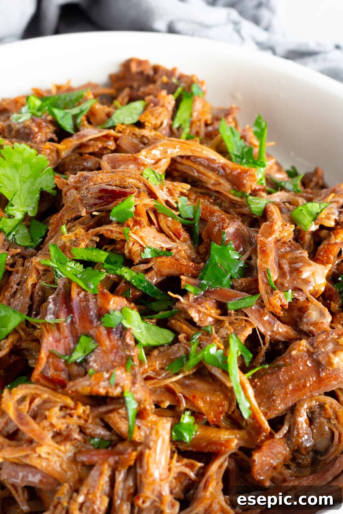 A Close-Up Shot of Tender Instant Pot Beef Barbacoa in a White Bowl