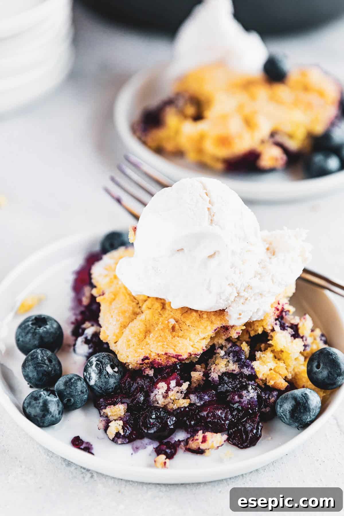 Golden Blueberry Rhubarb Delight 3 Blueberry Rhubarb Cobbler served on a plate and topped with ice cream scoop