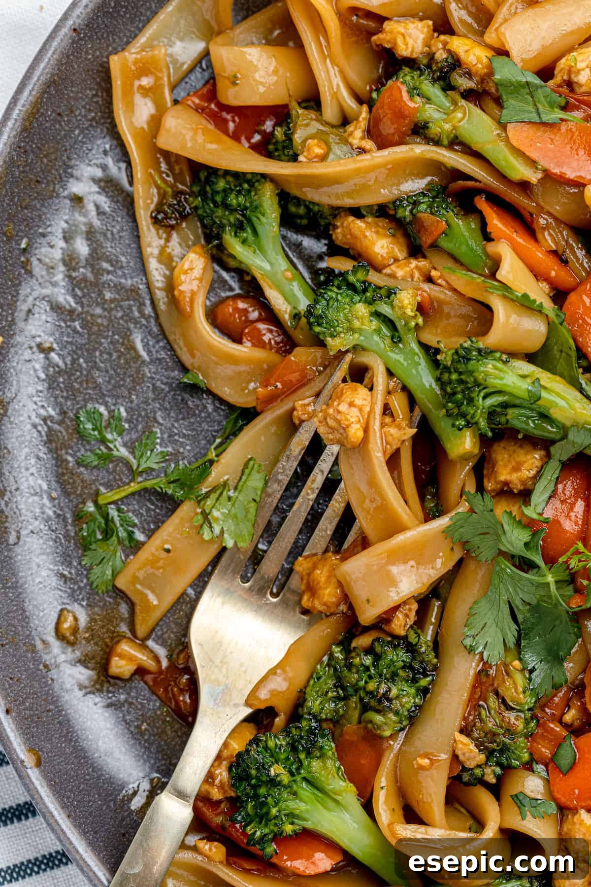 A speckled gray plate holding a single, beautifully arranged serving of homemade Pad See Ew, garnished and ready to eat.