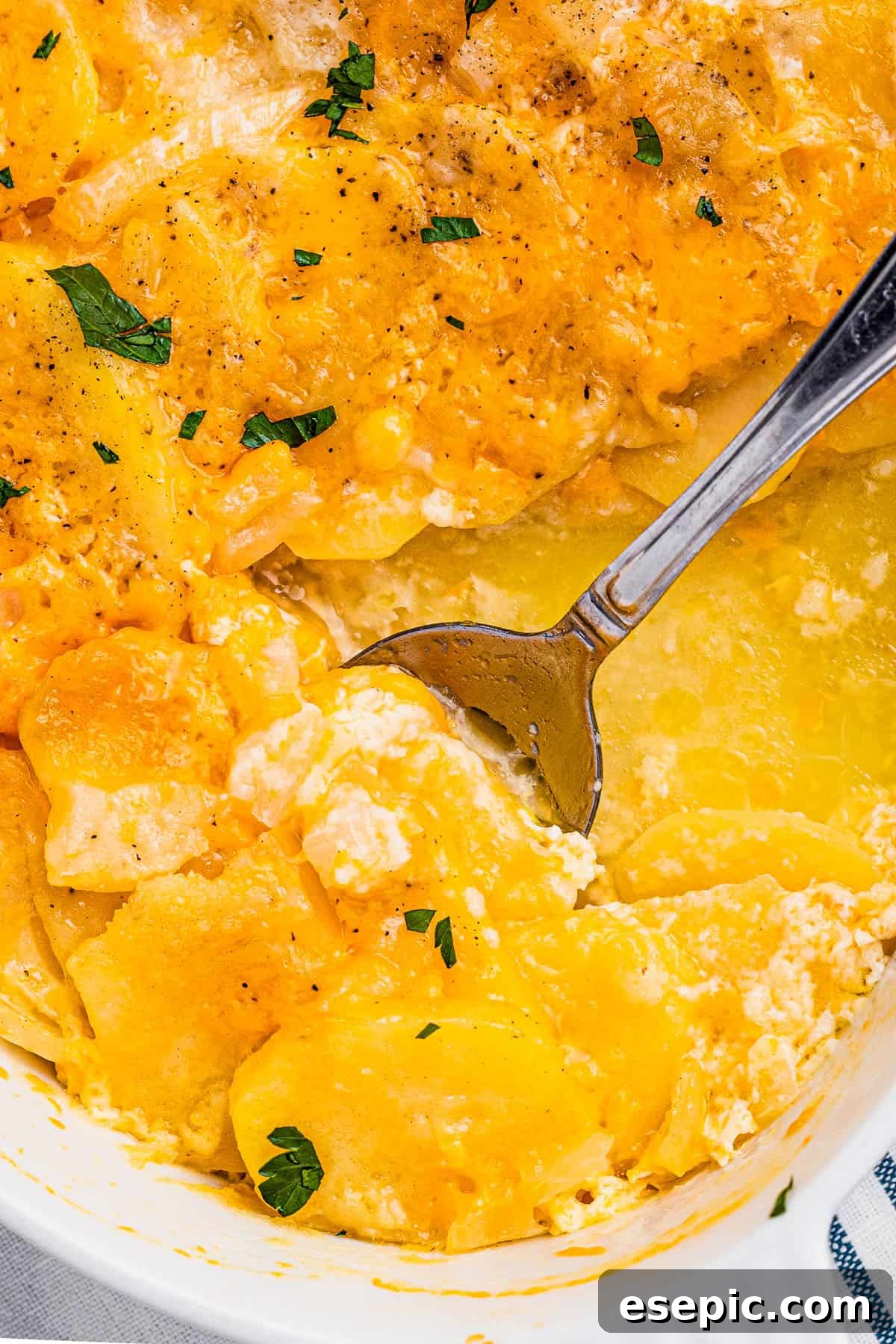 Spoon scooping out creamy, cheesy scalloped potatoes from a white casserole dish, highlighting the tender potato layers and melted cheddar.
