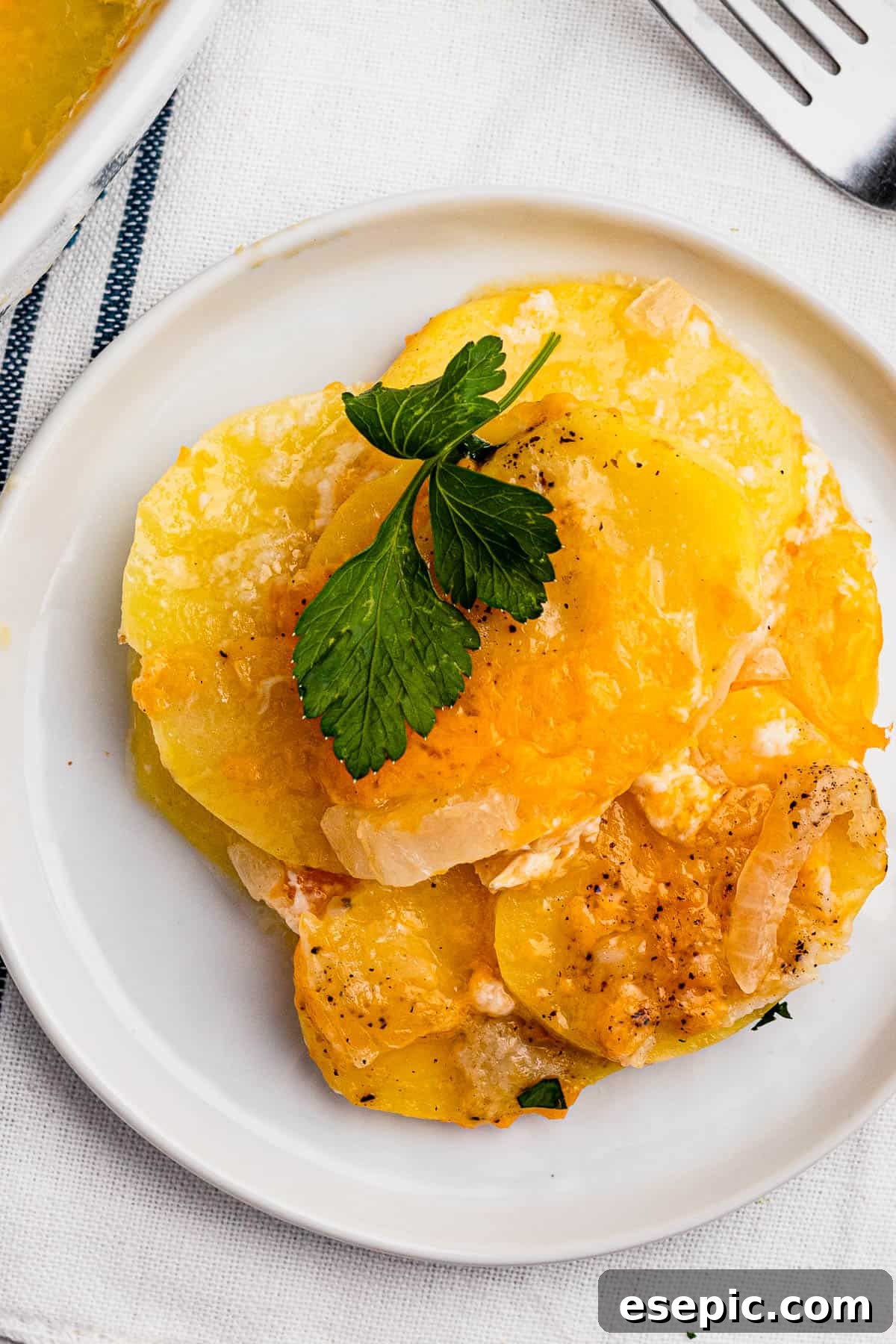 A small serving dish filled with golden-brown, cheesy sliced potatoes, perfectly baked and ready to enjoy.