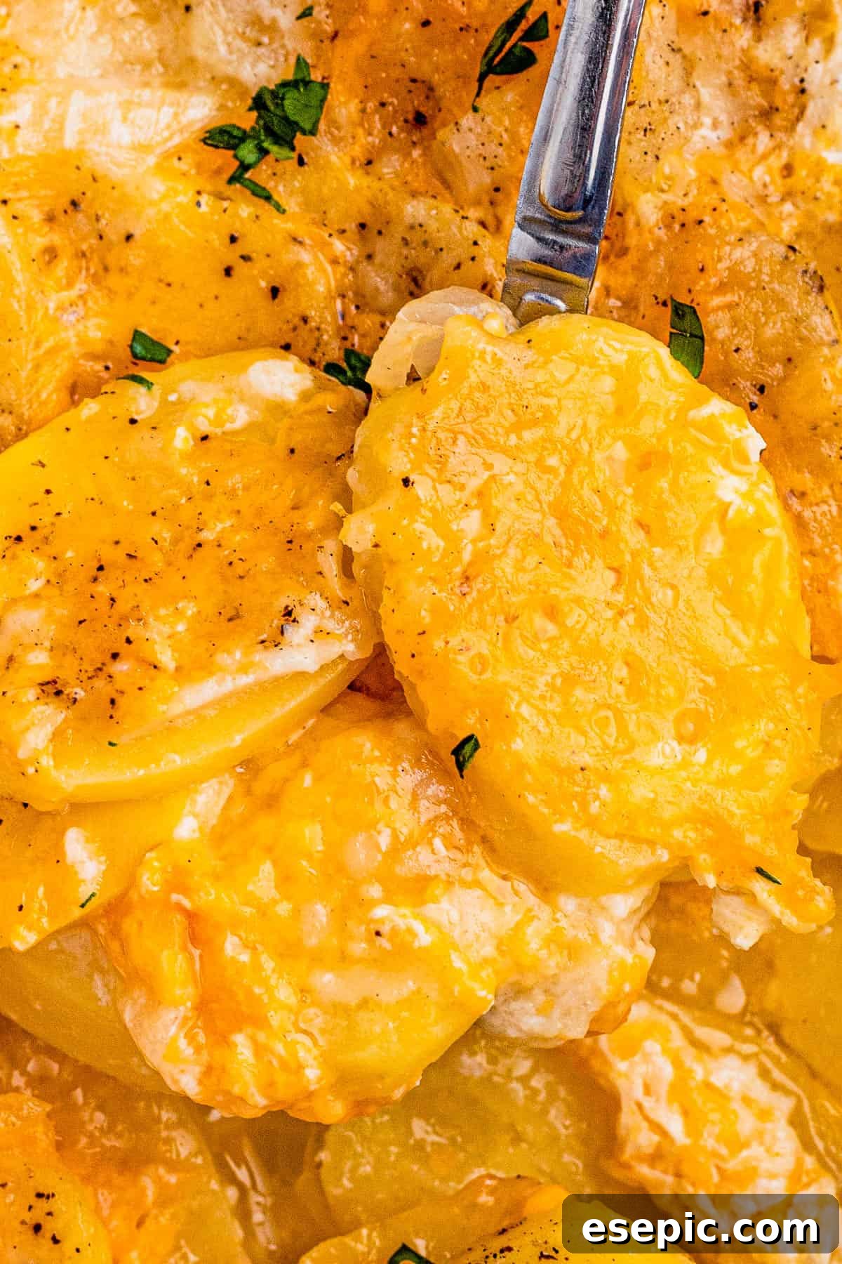 Close-up of a spoon scooping a generous portion of cheesy scalloped potatoes, showcasing the tender layers.