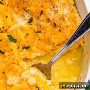 Scalloped potatoes in a white casserole dish with a spoon inside the dish, showcasing the creamy texture.