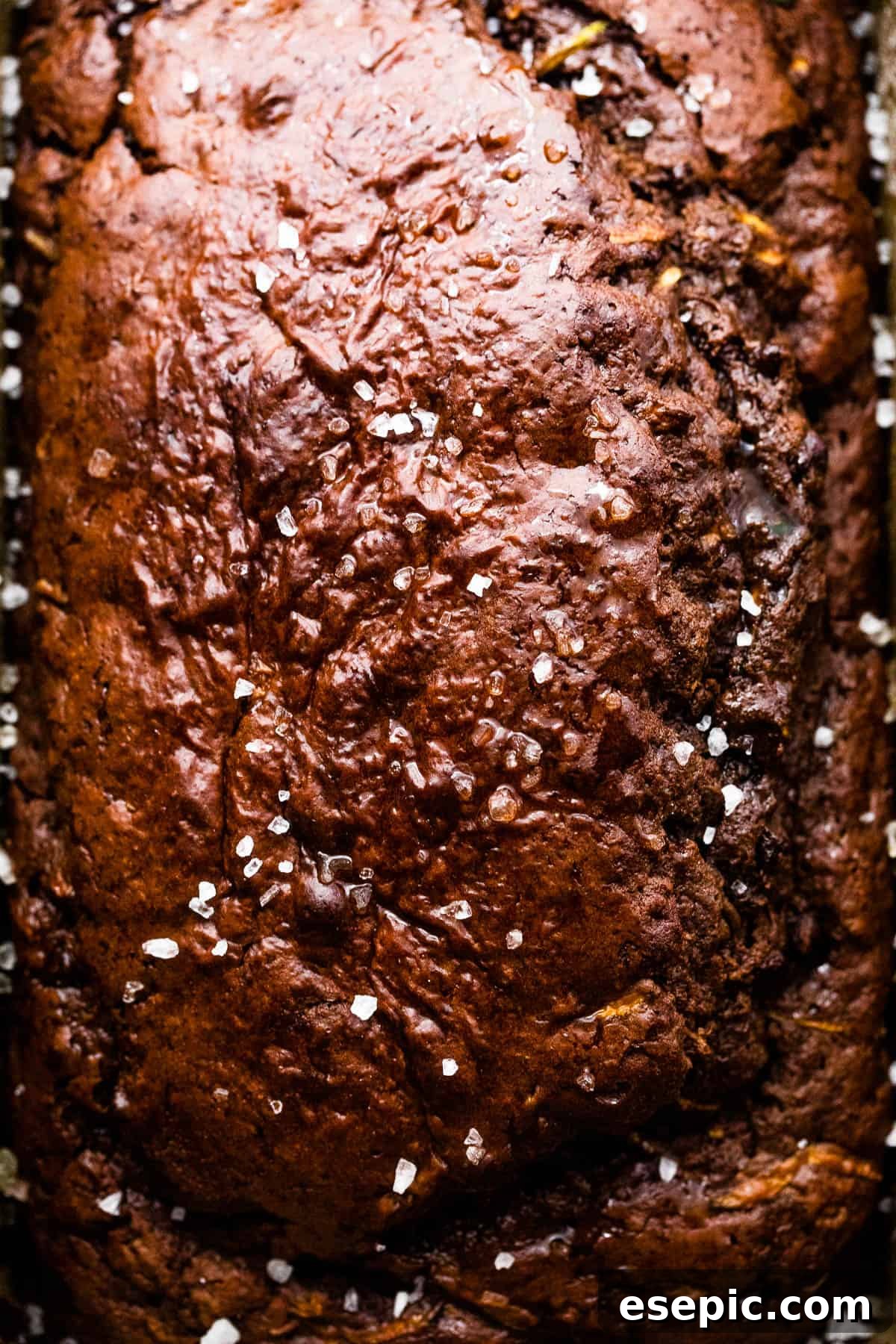 Close-up shot of baked chocolate zucchini bread cooling in a loaf pan, showing its rich brown color and subtle texture.