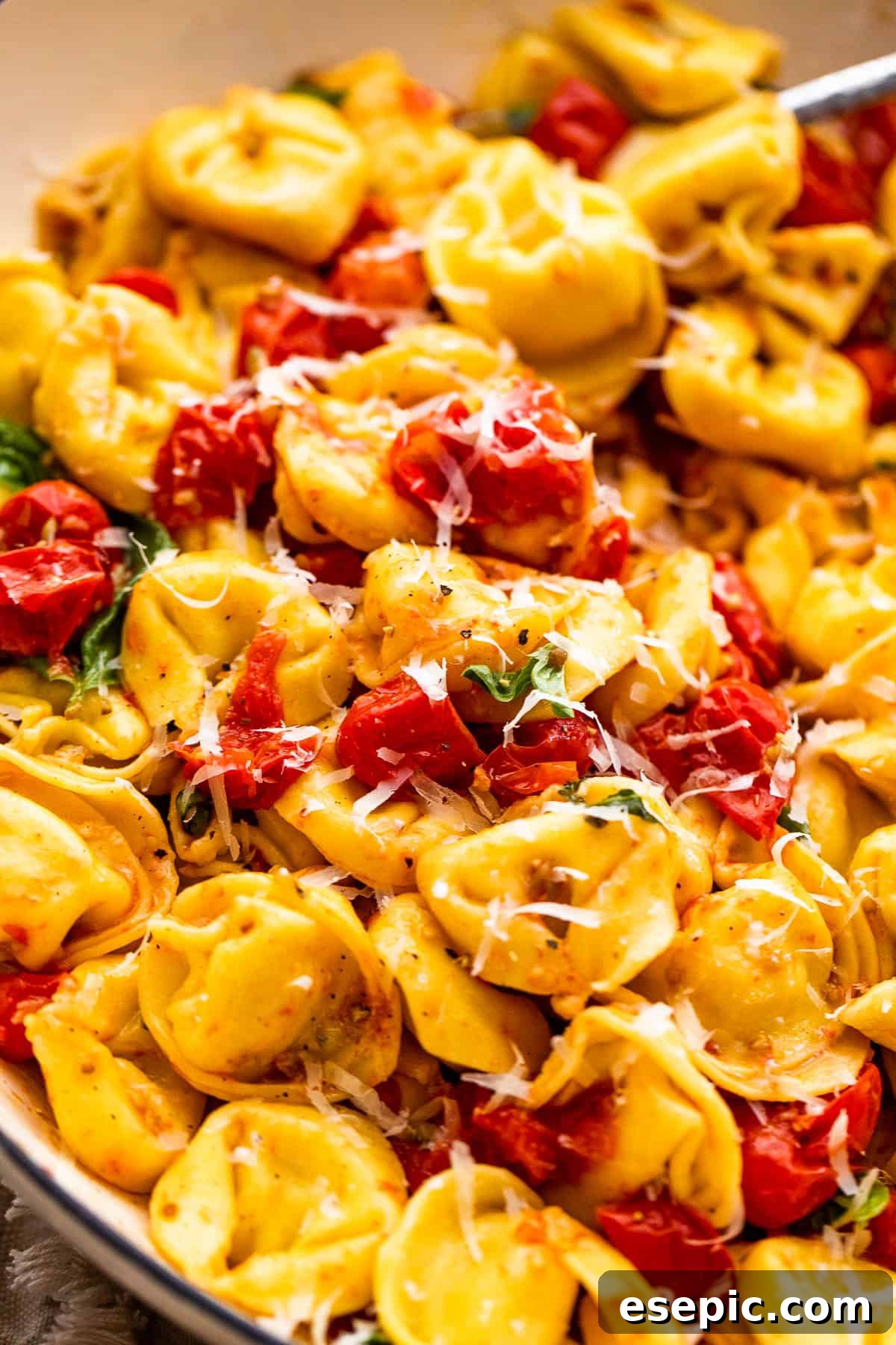 cheese tortellini with roasted cherry tomatoes and fresh parmesan cheese