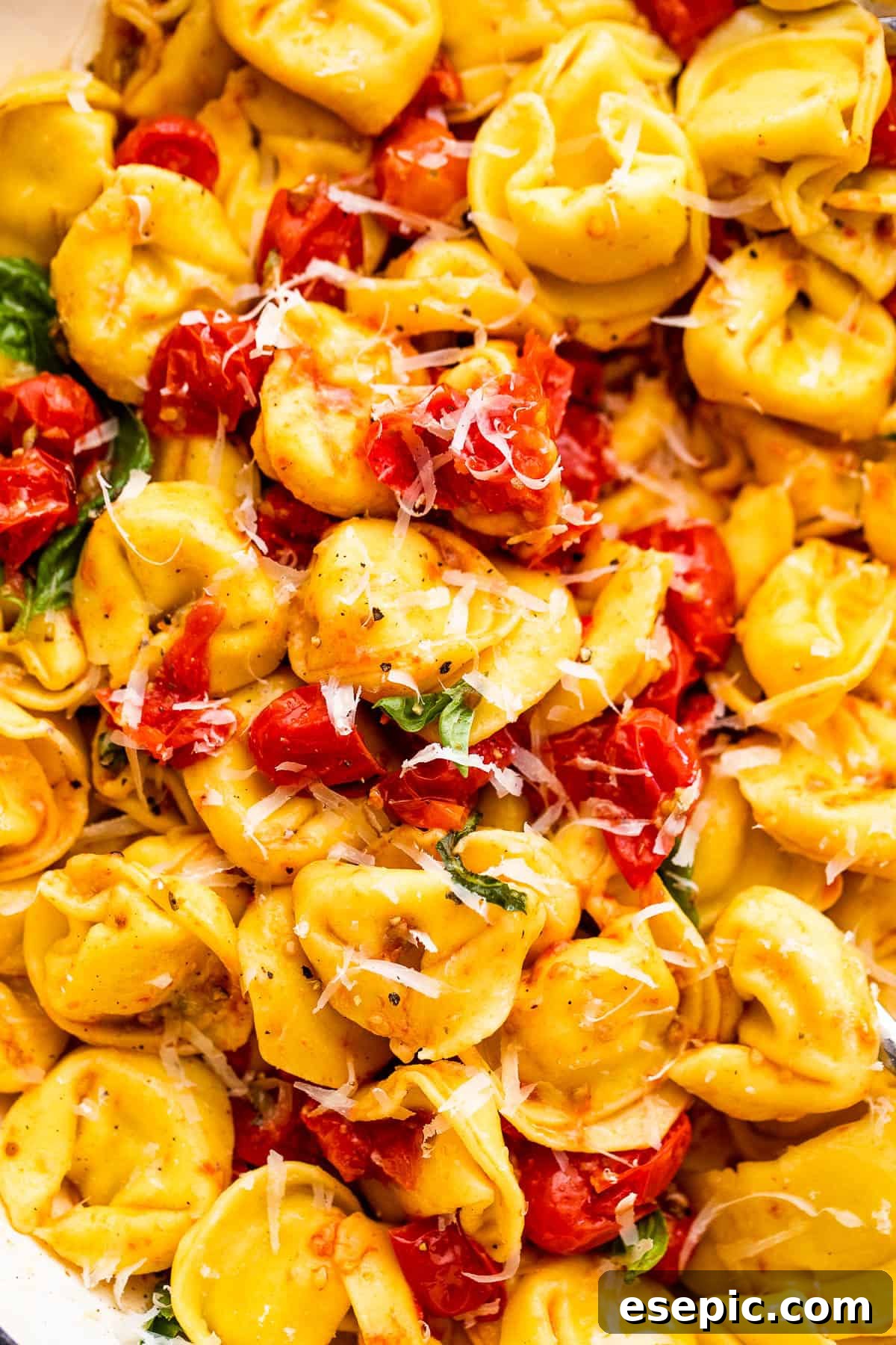cheese tortellini with roasted cherry tomatoes and fresh parmesan cheese