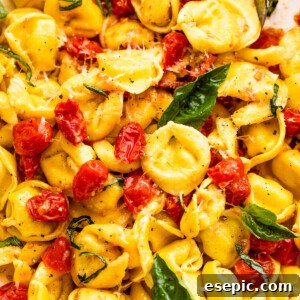 tortellini pasta tossed with cherry tomatoes and garnished with basil leaves
