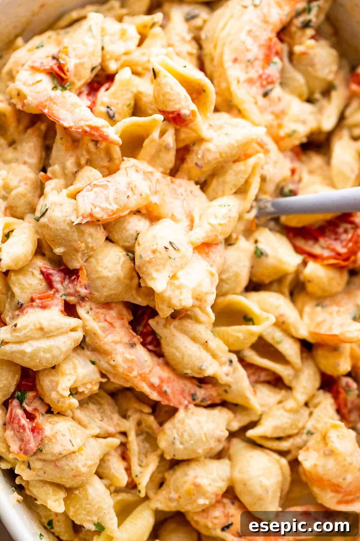 Cream Cheese and Shrimp Pasta Bake 7 img 8713 6