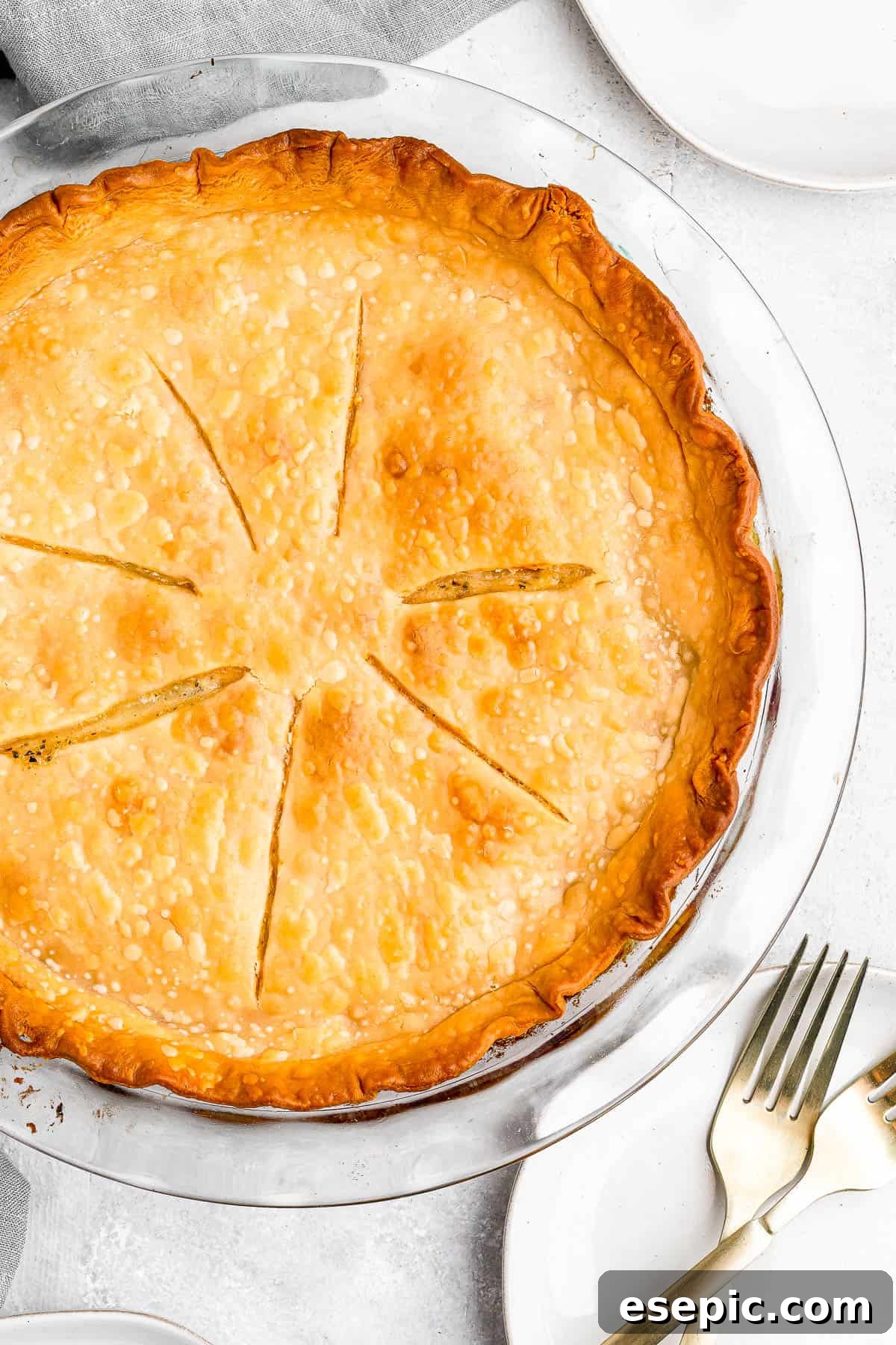 Golden Crust Chicken Delight 5 A perfectly baked chicken pot pie, golden brown with steam gently escaping from the venting slits on its top crust, showcasing its readiness.