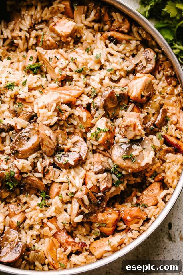 A close-up of creamy chicken and rice with mushrooms, showing the tender chicken pieces and perfectly cooked grains.