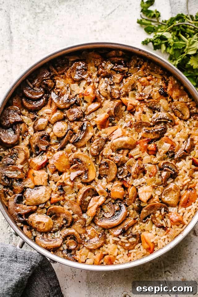 Cooking mushrooms with rice in a pan, showing the transformation of raw ingredients into a rich, aromatic mixture.
