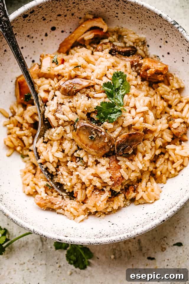 Completed chicken and mushrooms with rice, served in a white bowl and garnished with fresh parsley.