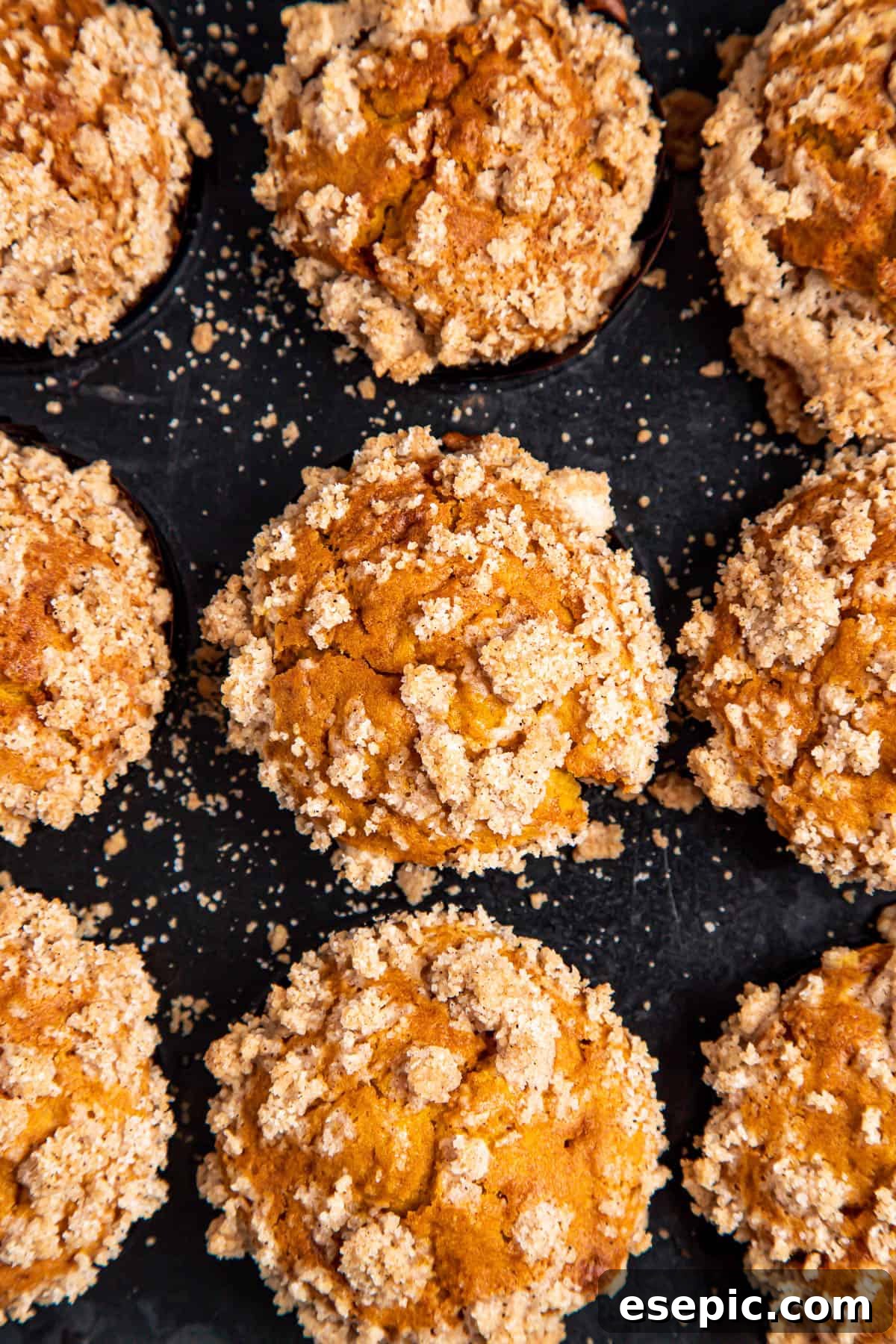 An inviting overhead shot of a freshly baked pan of 12 pumpkin muffins, golden brown with crumble topping, still in the muffin tin.