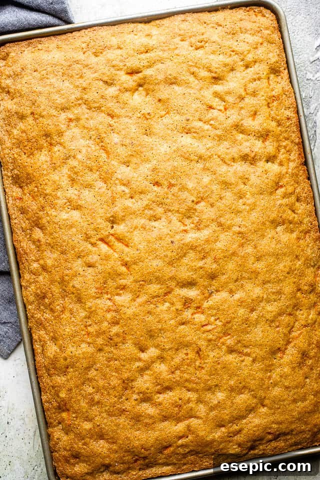 baked carrot cake cooling in a sheet pan