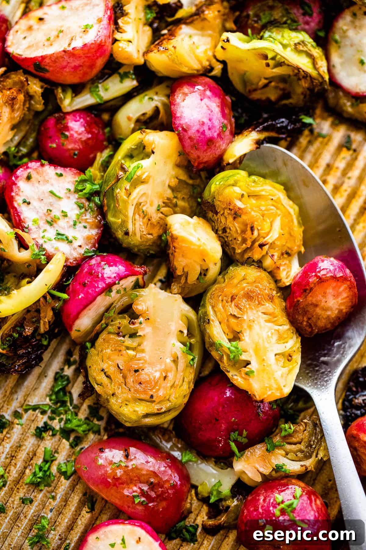 Crisp Roasted Brussels Sprouts and Radishes 3 A vibrant mix of halved Roasted Brussels Sprouts and Radishes artfully arranged on a baking sheet, ready to be served.