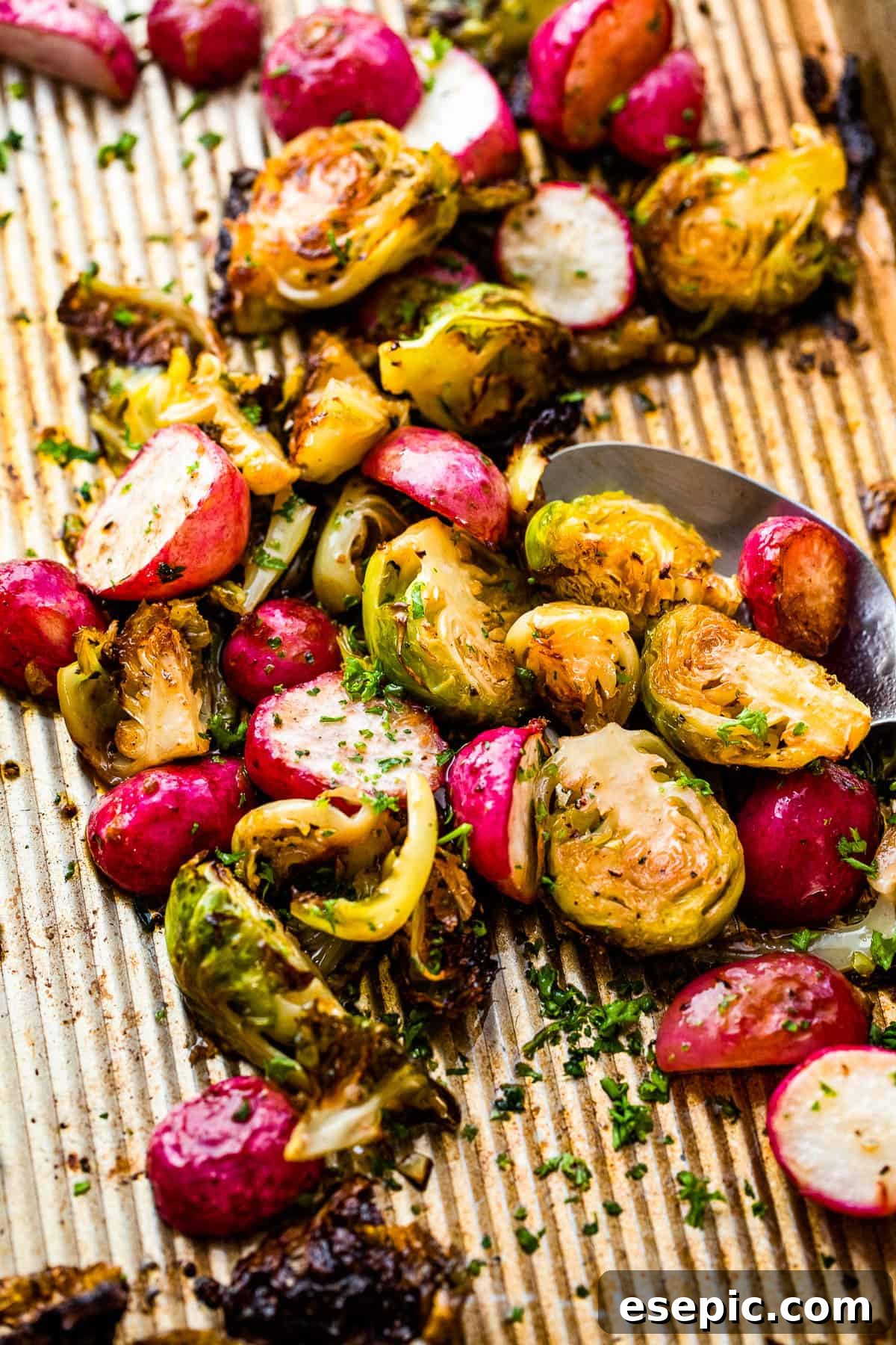 Crisp Roasted Brussels Sprouts and Radishes 5 An overhead shot of perfectly roasted Brussels Sprouts and Radishes glistening on a baking sheet, showcasing their crisp edges and rich color.