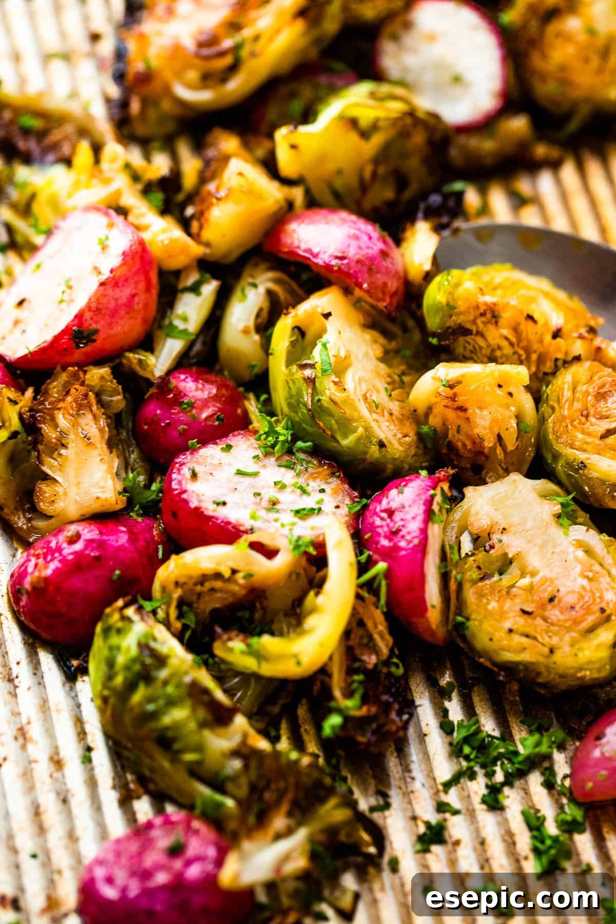 Crisp Roasted Brussels Sprouts and Radishes 6 Close up shot of halved Roasted Brussels Sprouts and Radishes on a baking sheet, featuring their golden-brown edges and inviting texture.